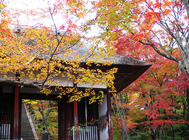 常寂光寺