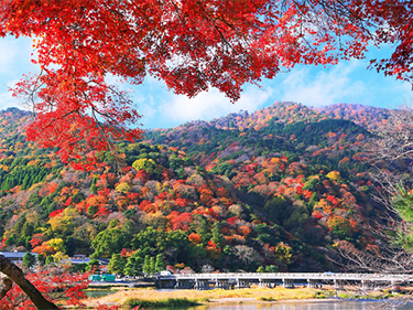 渡月橋